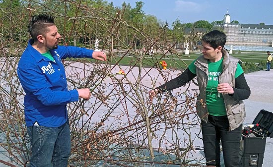 Floristen gestalten einen Fächer aus Blumen