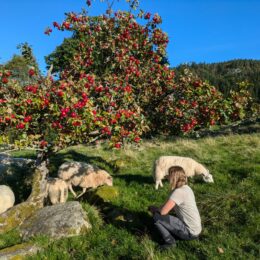 ERASMUS+ auf Norda-Hidle (Norwegen)
