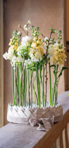 Pressespiegel der Floristen