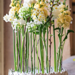 Pressespiegel der Floristen