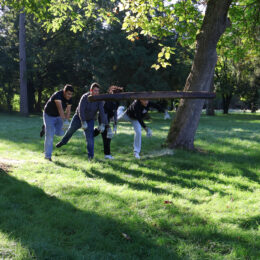 Morgenstund hat Gold im Mund - kalt aber schön