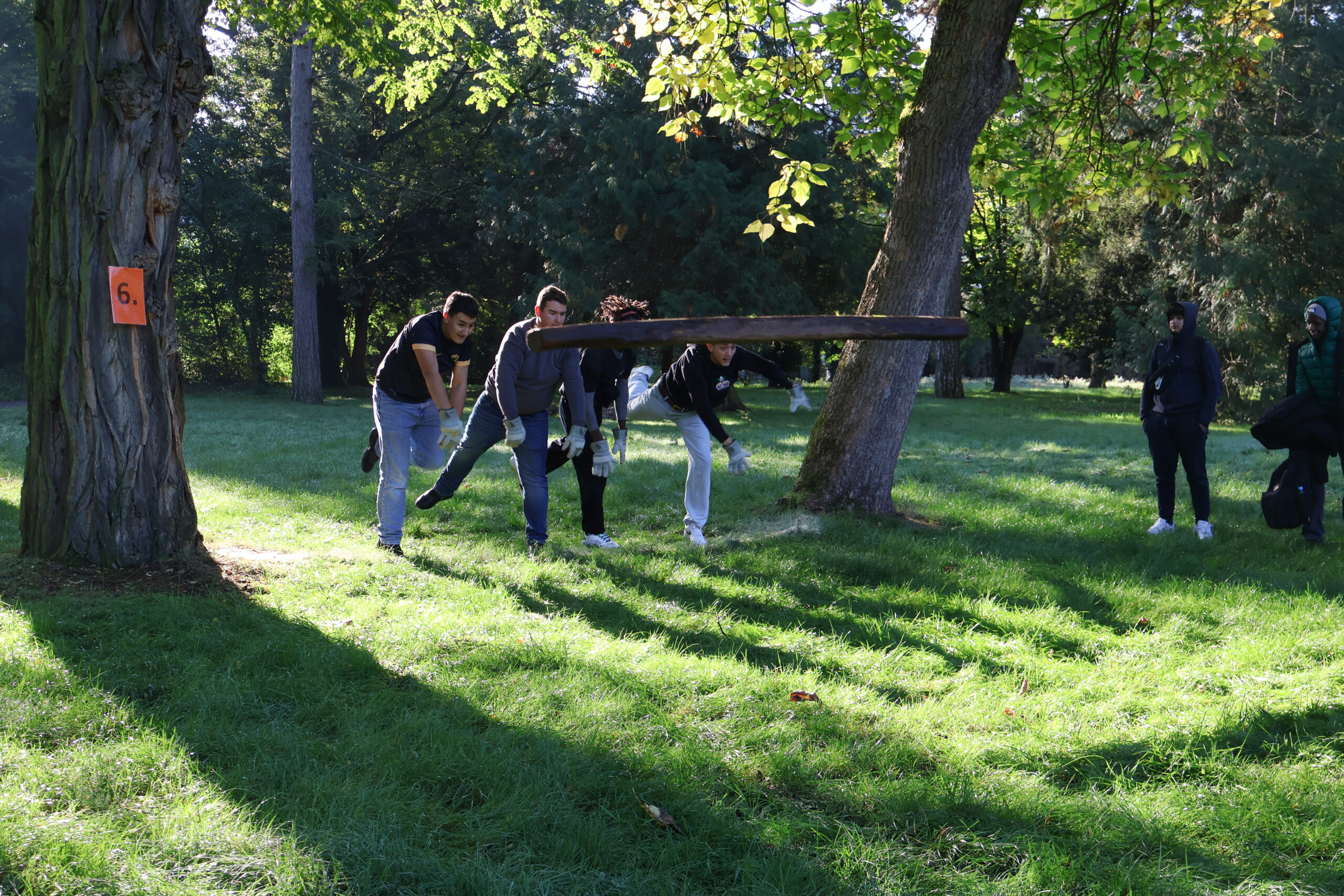 Morgenstund hat Gold im Mund - kalt aber schön